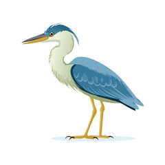 Fototapeta premium Illustrated heron bird standing proudly on a white background vector illustration