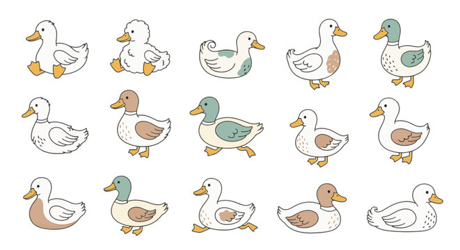Vector collection of hand-drawn cute ducks in various poses, featuring yellow ducklings, mallards, and cartoon water birds for nursery decor, stickers, and children's patterns.