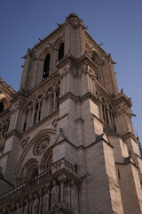 Fototapeta premium A la réouverture après les travaux de la cathédrale notre-dame de paris en france, cinq ans après son incendie