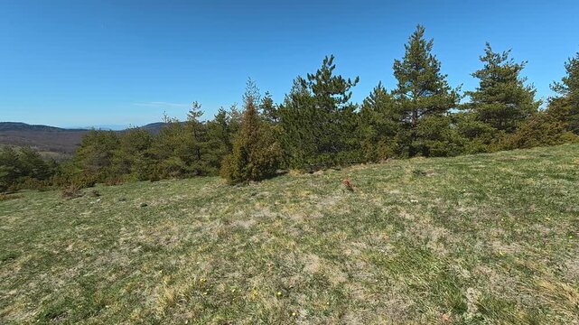 Clear blue sky above green hills. Mount Goc, Ljukten peak. Balkans, Serbia