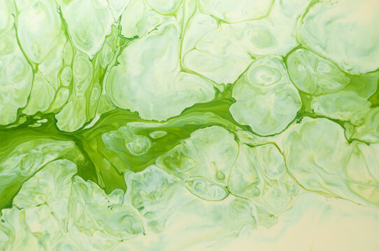 Green abstract design with smooth lines and curves made from paint on a canvas