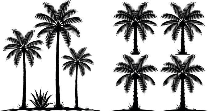 Exotic Palm Tree Silhouette Vector Set with Ground Grass and Agave Plant Details for Summer Beach Vacation Travel Layouts and Tropical Landscape Backdrop Designs