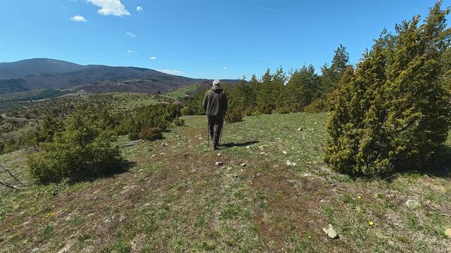 Old man walks alone through sunlit meadow. Mount Goc, Ljukten peak. Balkans, Serbia