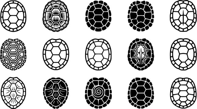 turtle shell icon. Vector illustration isolated o white background