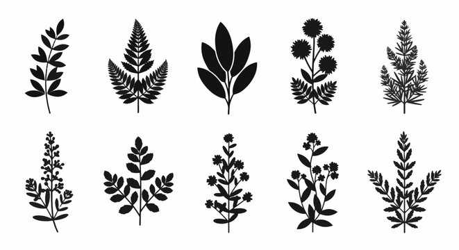 Flat Black Vector Icon of an Aromatic Plant with Leaves and Stem, Isolated on White Background for Culinary, Medical, and Organic Gardening Branding or Web Interface Design.