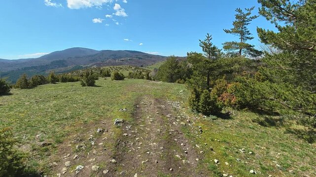 Sunlit path winds through green hills. Mount Goc, Ljukten peak. Balkans, Serbia