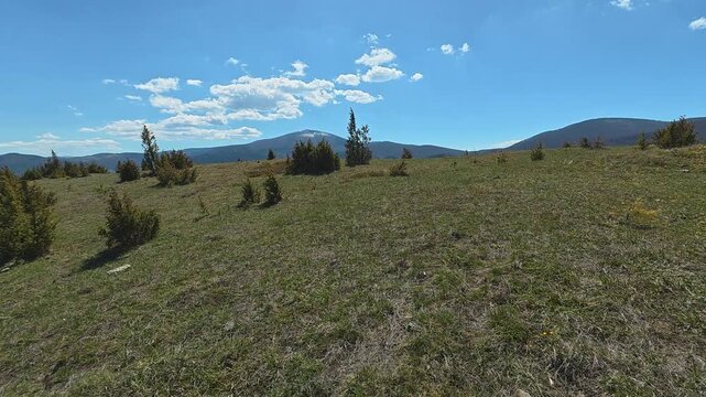 Open meadow stretches under clear blue sky. Mount Goc, Ljukten peak. Balkans, Serbia