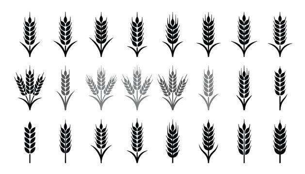 Wheat Grain and Cereal Ear Collection with Black Silhouette Agriculture Harvest and Organic Farming Vector Icon Set.
