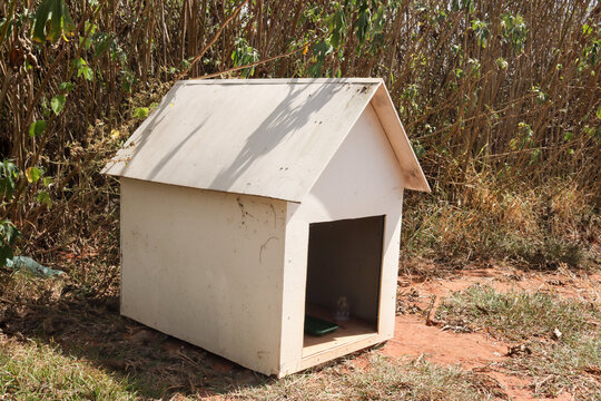 Wooden Dog House in my Backyard against a grassy area
