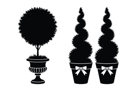 Topiary trees in pots with bows vector illustration topiaries ornamental