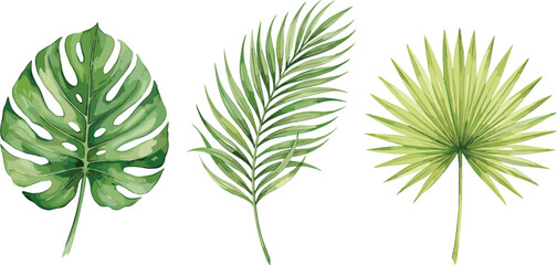Naklejka premium Set of Three Tropical Leaves Vector Illustrations for Botanical, Jungle, and Exotic Plant Designs, Perfect for Nature, Garden, and Decorative Digital Art Projects