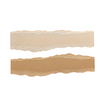 Two wooden sticks on light background