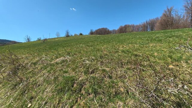 Clear blue sky above green hillside. Mount Goc, Ljukten peak. Balkans, Serbia