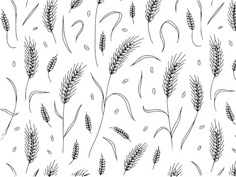 Hand-drawn wheat stalks and grains pattern white background, black outline field