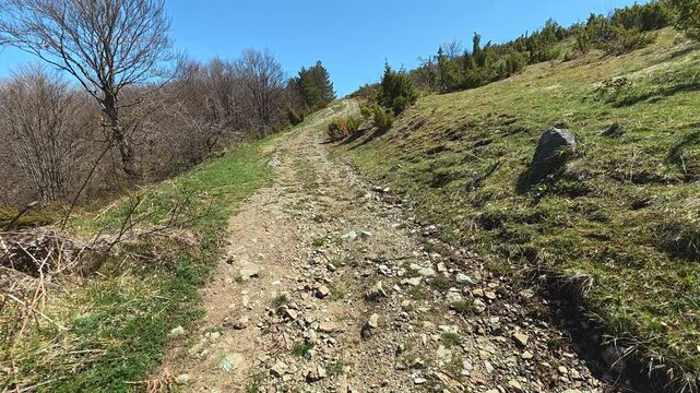Sunlight bathes a quiet hillside trail. Mount Goc, Ljukten peak. Balkans, Serbia