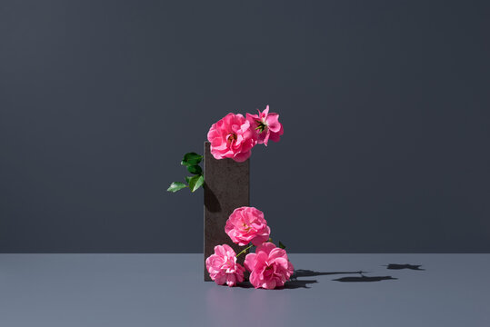 Flores de el&eacute;boro rosas de invierno de color rosa colocadas en una piedra sobre fondo gris	