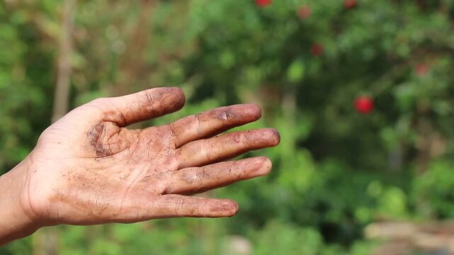 Used gloves or the dirty gloves falls from the hand revealing the dirty hands showing the concept of hard work