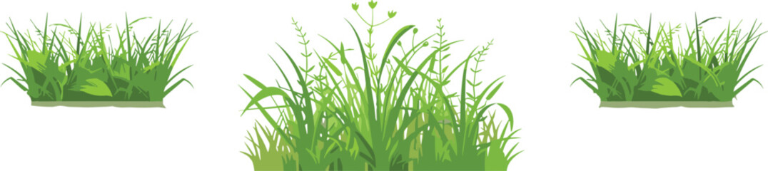 Green Grass Patch Collection Vector Illustration with Natural Lawn Elements, Garden Plants, and Fresh Botanical Landscape Design Graphics © MstBobita