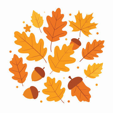 Leaves and acorns fall from trees in autumn nature scene