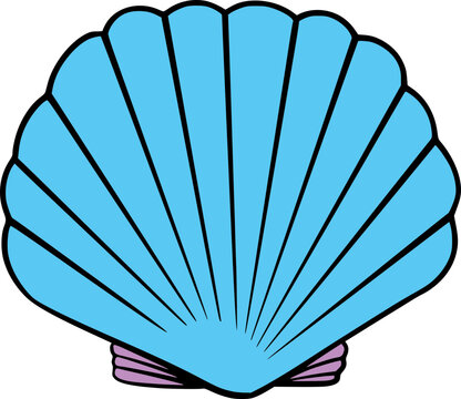 Ocean Seashells Graphic ILLUSTRATION