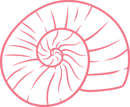 Ocean Seashells Graphic ILLUSTRATION
