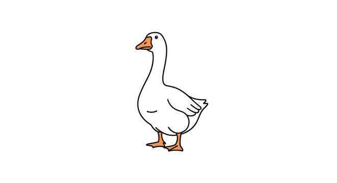 Single white domestic goose standing in profile with an orange beak and webbed feet isolated on a plain white background.