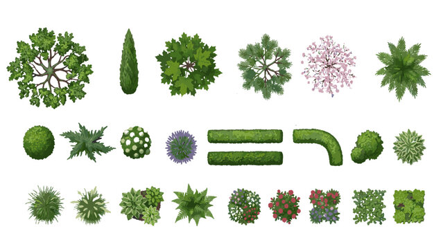 Top View Garden Planning Symbol Set with Realistic Botanical Trees Hedges and Landscape Elements