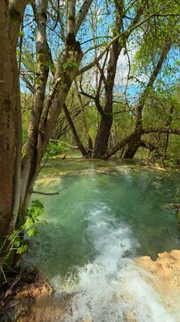Clear water rushes under green trees. Bigar Waterfall, Serbia. Vertical
