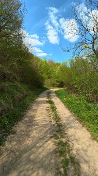 Sunlit trail winds through green foliage. Bigar Waterfall, Serbia. Vertical