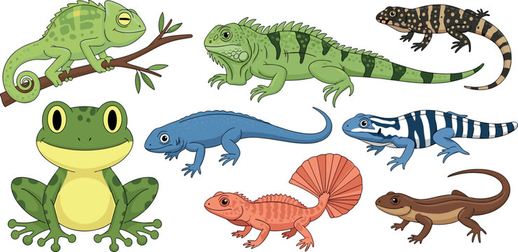 Cute cartoon reptile collection featuring chameleon iguana lizard frog salamander and gecko isolated on white background vector illustration
