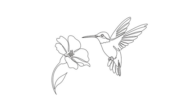 Hummingbird hovering near a flower isolated on a transparent background