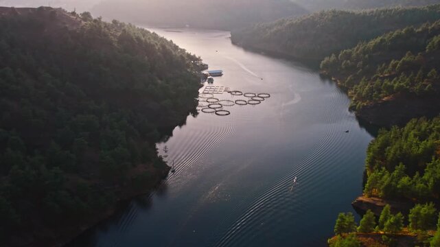 Drone shot of a scenic forest lake with fish farms, rocky cliffs and rowing boats moving through calm blue freshwater. Peaceful nature landscape with hills, trees and outdoor sport.