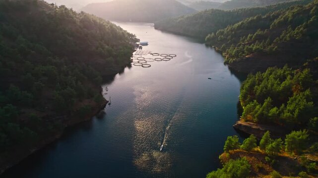 Drone shot of a scenic forest lake with fish farms, rocky cliffs and rowing boats moving through calm blue freshwater. Peaceful nature landscape with hills, trees and outdoor sport.