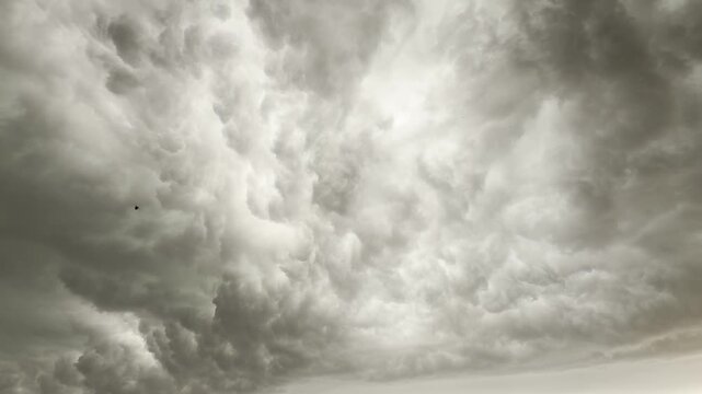 Storm Clouds Filling The Entire Sky. Dark Heavy Cumulus Cloudscape Before Rain. Threatening Cyclone Environment