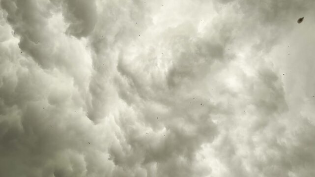 Dark Storm Clouds Overcast Sky. Dense Grey Cumulus Formations Preceding Heavy Rain. Atmosphere Before Thunderstor
