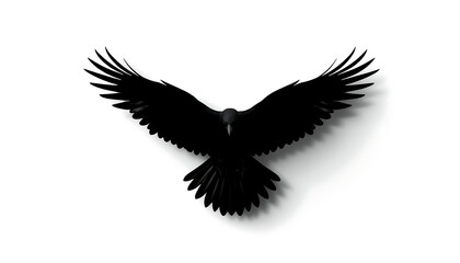 Fototapeta premium Raven soaring with black wings spread wide creates a stark silhouette against the plain white surface.