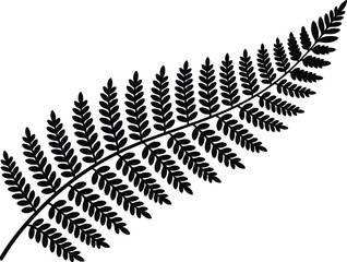 Silver fern leaf silhouette isolated on white background new zealand symbol © Muhammad