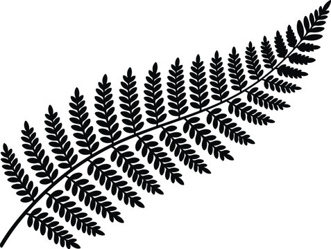 Silver fern leaf silhouette isolated on white background new zealand symbol