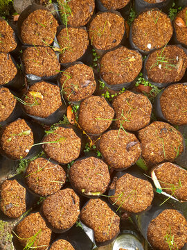 The background of the polybag is ready to be planted using organic methods in the form of rice husks and manure