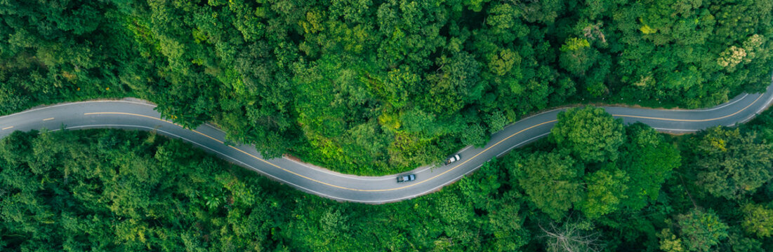 Scenic winding road in forest, suitable for green business concepts, climate responsibility, sustainable investment planning, and eco-conscious corporate messaging.