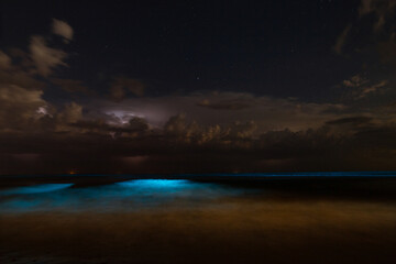 Fototapeta premium Nightstorm with Bioluminescence