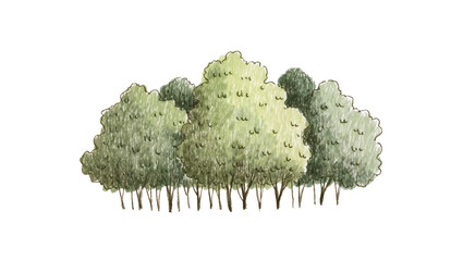 Group of lush green trees with textured foliage, isolated on transparent background © Ozols