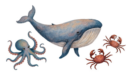 Blue whale with octopus and two crabs, isolated on transparent background © Ozols