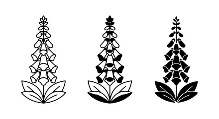 Minimalist foxglove flower icons, digitalis botanical vector set, black and white floral line art © Rahul