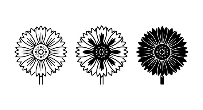 Cornflower botanical vector set, black and white floral icons, minimalist wildflower illustrations