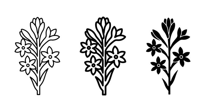 Minimalist tuberose flower icons, botanical agave amica floral set, black line art vector plant