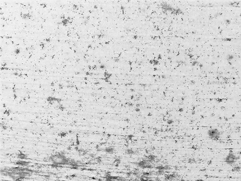 Dirt Grain Painted Surface White Speckled Background