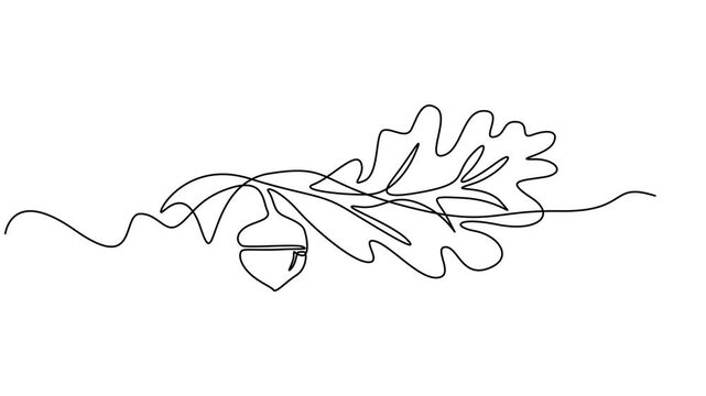 Pumkin continuous one line drawing animation.Self animated continuous one line drawing video, Thanksgiving Day single line animated illustration with pumpkin vegetable composition. . One continuous