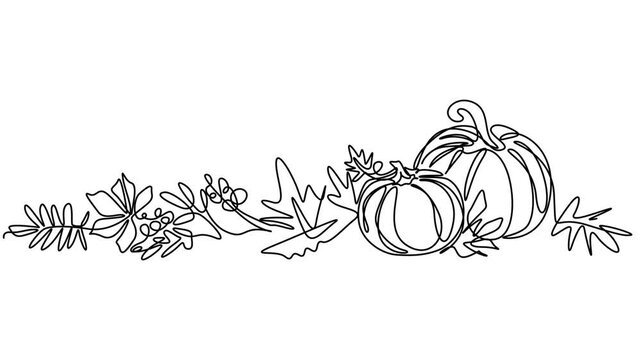 Pumkin continuous one line drawing animation.Self animated continuous one line drawing video, Thanksgiving Day single line animated illustration with pumpkin vegetable composition. . One continuous