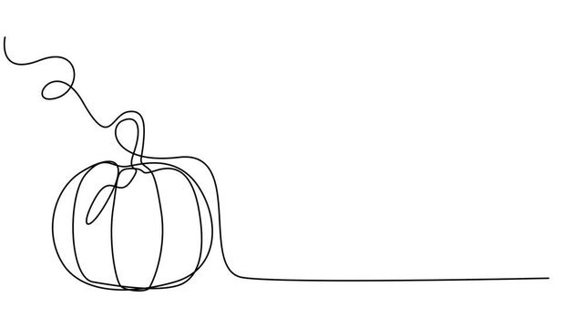 pumpkin continuous one line drawing animation, Self drawing simple animation of continuous one line drawing of pumpkin. Halloween concept drawn by hand, black single line on a white background, Self